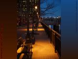 Waterfront Benches in Available Light, Dorchester Ave.