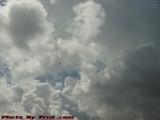 Soaring Bird on Billowing Clouds, Plantation, Florida