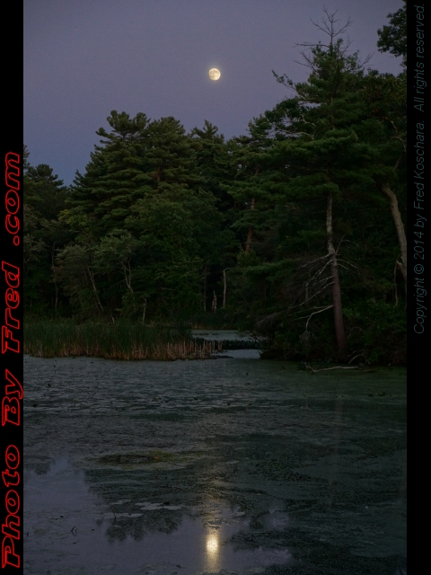 Full Harvest Moon Rising Over Crystal Pond, Peabody, Mass., photo by Fred Koschara, displayed Sept. 9, 2014 on PhotoByFred.com