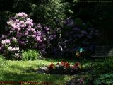 Secluded Artistic Garden, Dorchester, Massachusetts