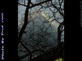 April Weather, Boylston Street