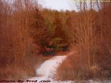 Hill Trail with Snow, at Sunset, Groveland, NY