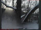 Dawn Through a Frosted Winter Window, Groveland, NY
