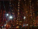 Holiday Lights, East Boston