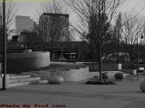 Quiescent Fontain in Gray, Lower Charles River Park