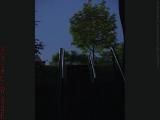 Dawn Railings, Watertown Arsenal