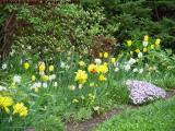 Boston in Bloom, Marlborough Street