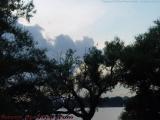 Tree Silhouette, Clouds Over MIT, from Esplanade