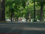 Bicycle Riders, Pavement Perspective, Esplanade near B.U.