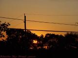 Sunset Peeping Through Trees, Groveland, NY