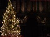 Christmas Tree, Trinity Church, Boston