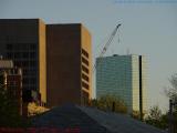 Peeking Crane at Sundown, from Esplanade