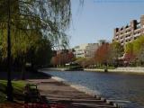 Lechmere Canal Dressed in Spring, Cambridge