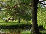 Waterway, Sun and Shade, Esplanade