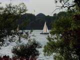 Sailing Past MIT, Perspective from Esplanade