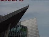 Posed Gull, Aquarium