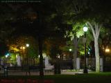 Evening Oasis, Columbus Park