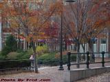 Fall Railings, Cambridgeside
