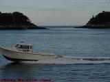 Hurrying Home, Portland Harbor, Portland, Maine