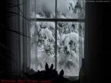 Snowy Winter Window, Groveland, NY