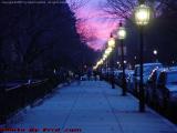 Frigid Sunset, Commonwealth Avenue