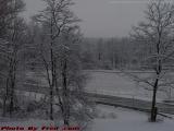 Heavy Morning Snow, Groveland, NY