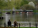 Afternoon Date in the Park, Boston Public Garden