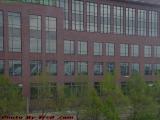 Bridge Reflection, from Rundell Library, Rochester, NY