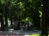 Bronze Conference, Commonwealth Avenue Mall, Boston