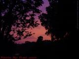 Post-Rain Sunset Silhouettes, Groveland, NY
