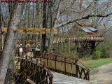 Wheelchair Accessible Tree House, Hole In The Wall Camp