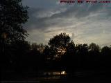 Sunset Treescape, Boston Common
