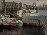 Well Experienced Boats, Chelsea Waterfront