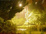 Night on Sewall Ave. in Available Light, Brookline