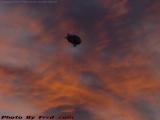 Blimp in Fantastic Juxtaposition, from South End, Boston