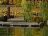 Calm Waters with Work Barges, Sunset Light, Esplanade