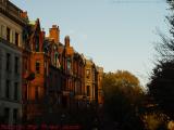 Late Afternoon Autumn Sun, Commonwealth Avenue, Boston