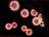 Holiday Light Balls, Lynn Fells Parkway Area