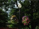 Boylston Street Flower Baskets, from Four Seasons, Boston