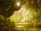 Nighttime Sewall St., Brookline, Lit by a Street Light