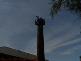 Smokestack Study, Arlington, Massachusetts