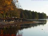 Low Water For Canoes, Bear Hill Pond, Harvard, Mass.