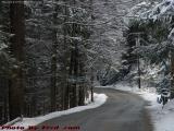 Winter Road With Snow, Rural Massachusetts