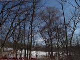 Winter Hillside Field Through Bare Trees, Groveland, NY