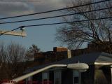 Clouds, Wires and Architecture, Medford, Massachusetts