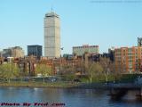 Spring Goose Flying From Charles River Basin, Boston