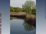 The Fens, Near Boylston Street, Boston, Massachusetts