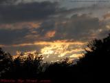 Sunset Creatures Regarding The End of Spring's Last Day
