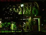 Green Arches in Available Light, Columbus Park. Boston