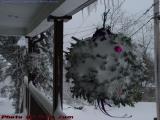 Kissing Balls With Snow, Dell Court, Lynn, Massachusetts